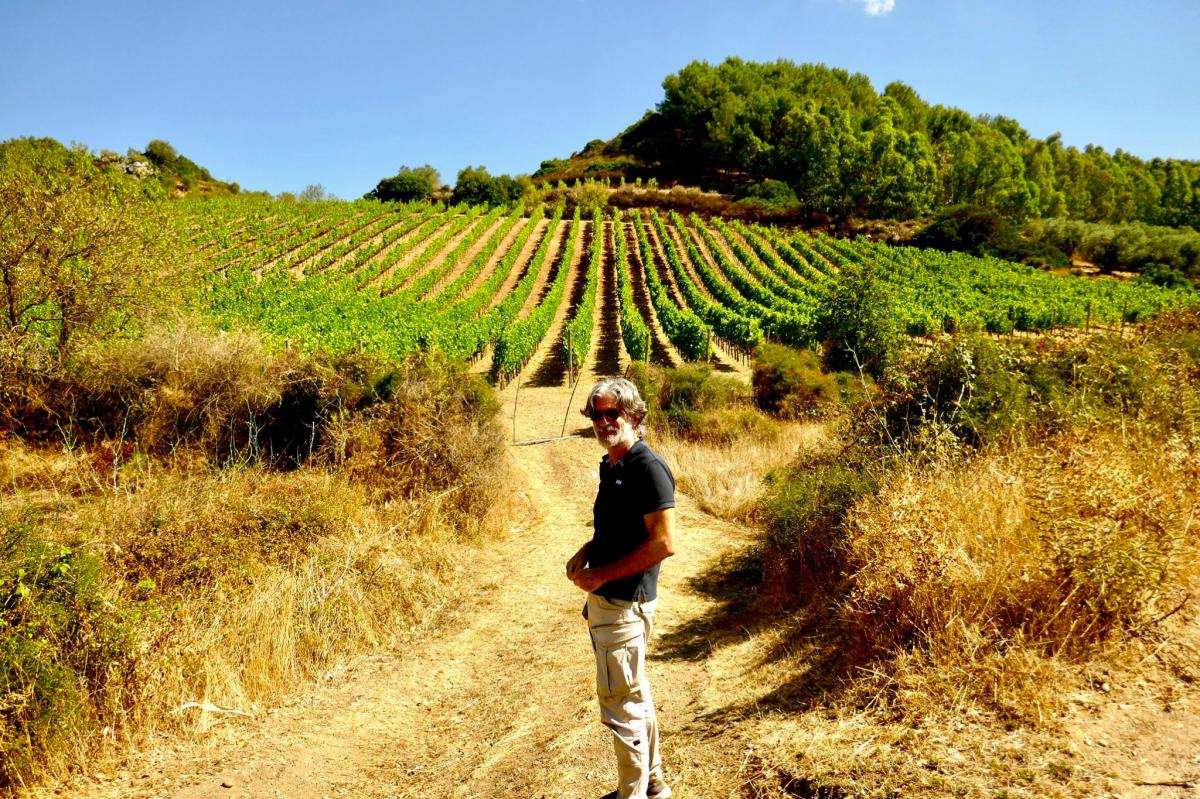 Stefano Soi is standing, smiling, in the sun, in front of his vineyard, looking into camera